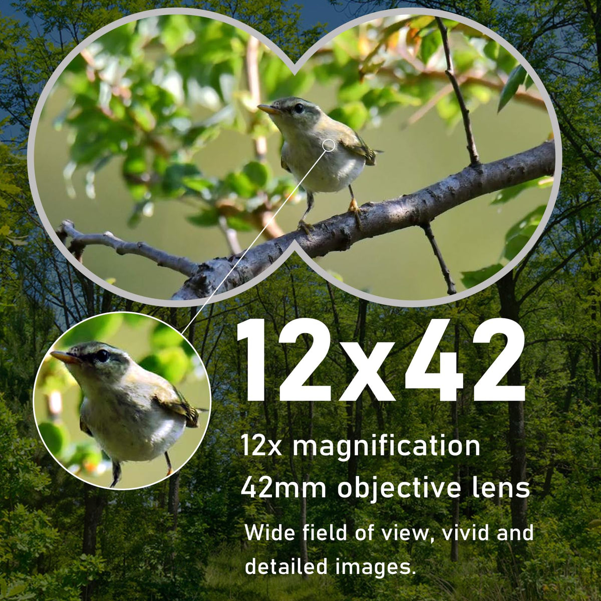 TRV binoculars sturdy body provides reliable performance on hikes and boat trips.