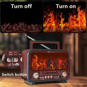 T.TAOMI retro radio Bluetooth speaker delivers rich sound.
