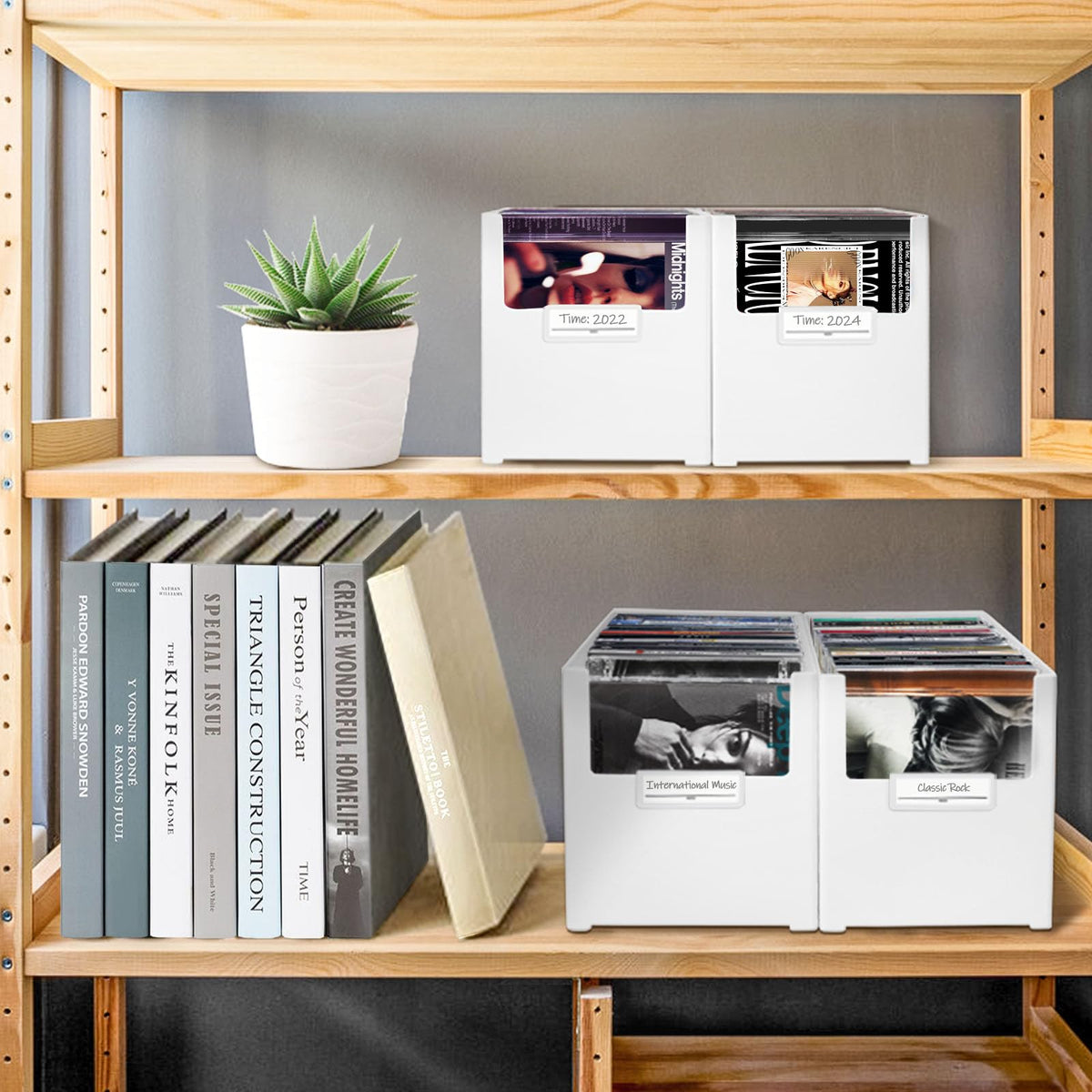 tutata on a living room shelf with multiple boxes showing tidy display benefit