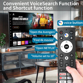 TVSEN remote button layout showing intuitive navigation and quick-access keys.