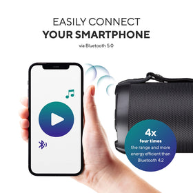 TYLER USB MP3 Micro SD AUX FM inputs lets you play from many sources