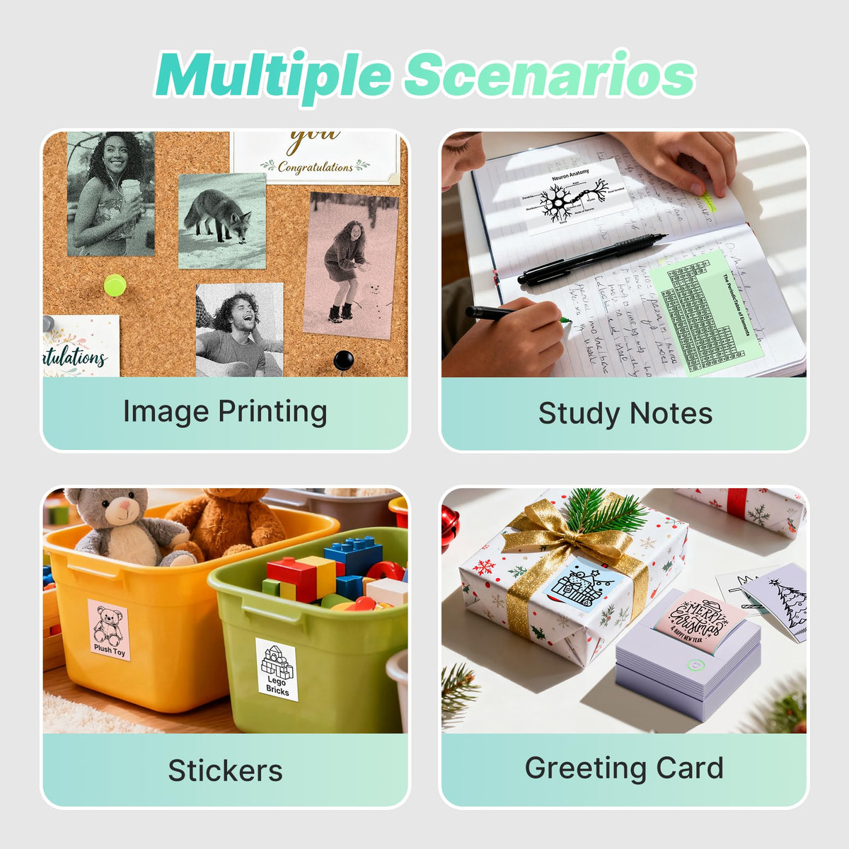 Labelnize app interface with templates and fonts for sticker projects.