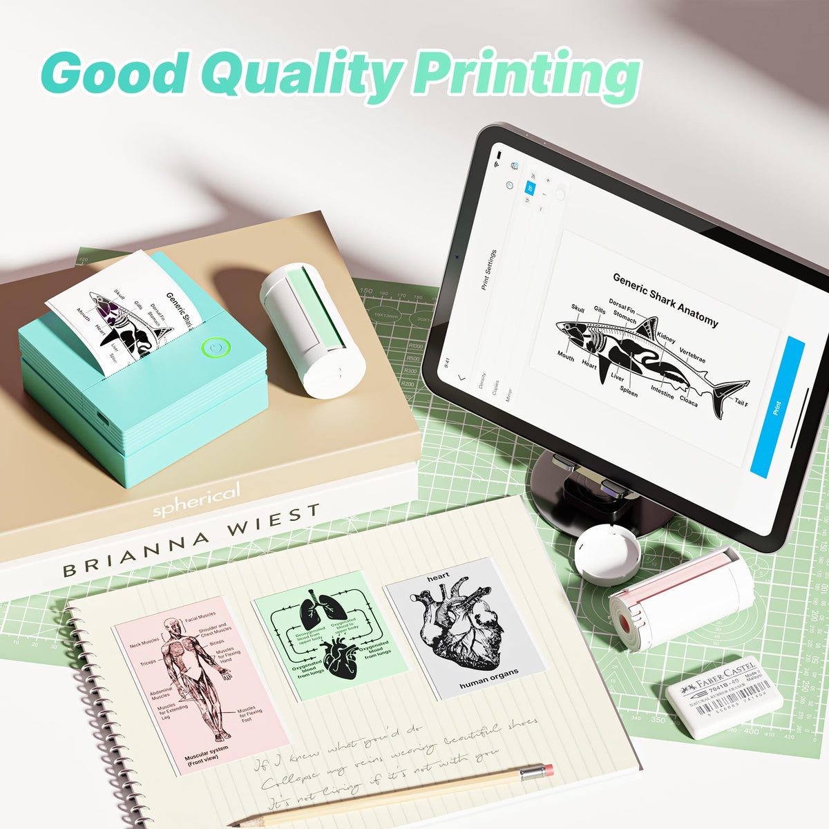 TYPONOS PM290 three included rolls provide ready-to-use color options