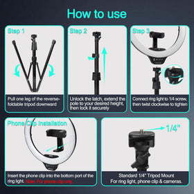 UBeesize low-angle setup capturing food photography with stable overhead light