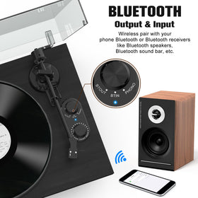 Udreamer 40W speakers paired for rich hi-fi sound