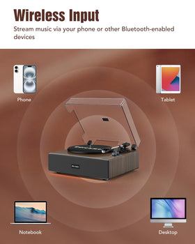 Udreamer all-in-one turntable with built-in speakers delivers rich, balanced sound.