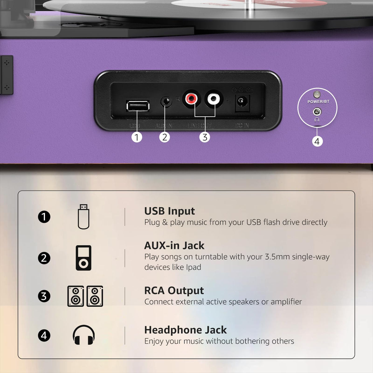 Udreamer back panel with RCA and power ports showing connectivity to external speakers and amp