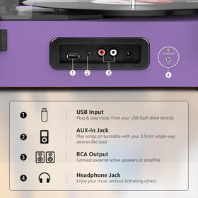 Udreamer back panel with RCA and power ports showing connectivity to external speakers and amp