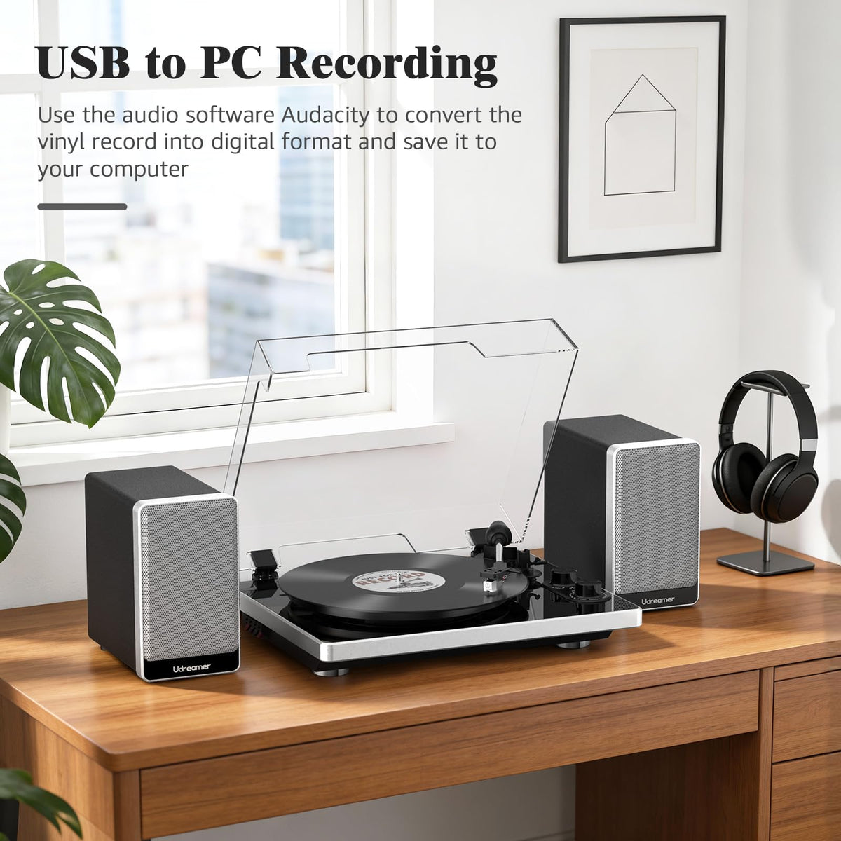 Udreamer vinyl record player ATN-3600 stylus for natural tone