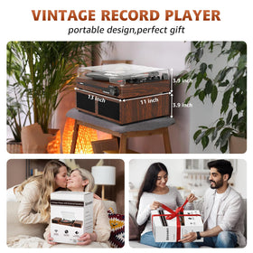 Udreamer vinyl turntable with RCA and USB connections for easy setup