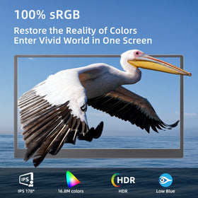 Upperizon 15.6-inch monitor with IPS panel and wide viewing angles for easy sharing.