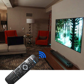 Uyibii NH500UP remote shown with two AAA batteries for setup