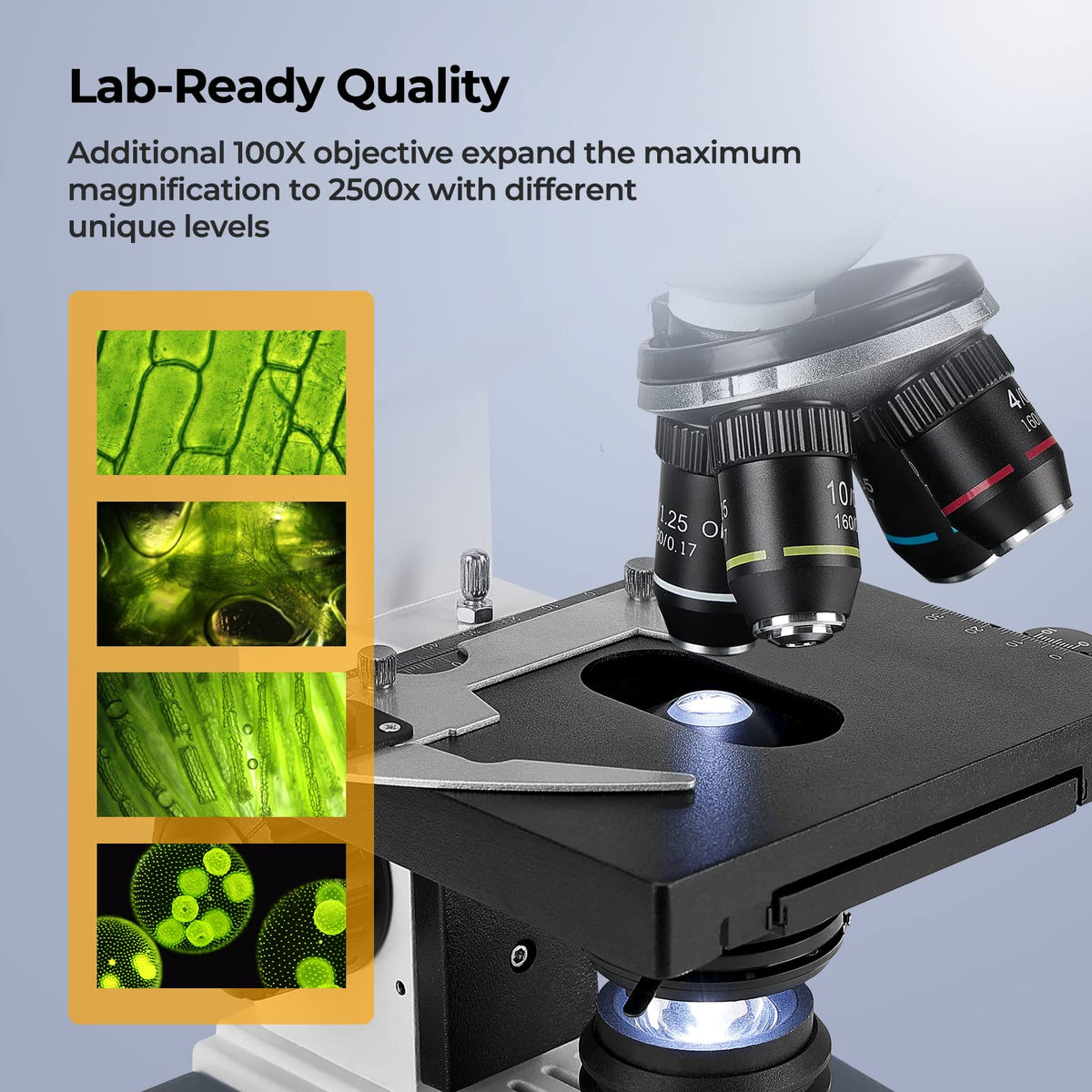 LED illumination and Abbe condenser provide controllable lighting on the Vabiooth microscope
