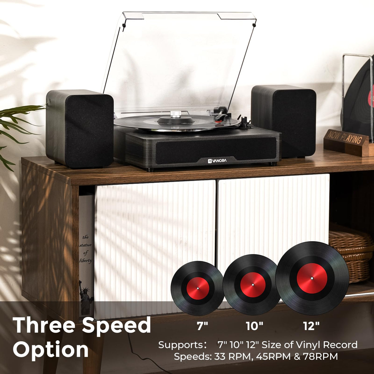 Vangoa record weight stabilizer minimizes skipping for clean playback.
