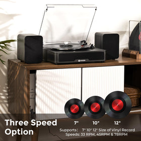 Vangoa record weight stabilizer minimizes skipping for clean playback.