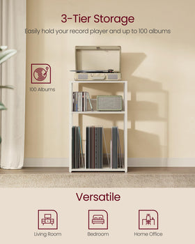 VASAGLE close-up of album shelves showing organized vinyl storage benefit