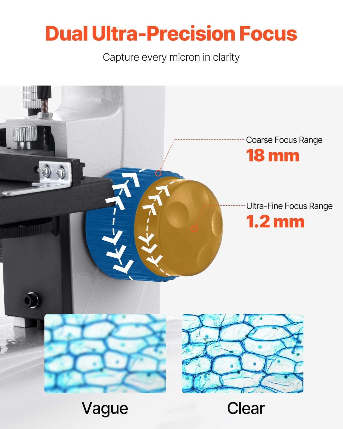 Phone adapter for capturing microscope images with the VEVOR system