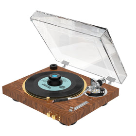 Viborg LP320B precise spindle hole keeps records centered.