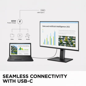 ViewSonic VG2452 ergonomic stand with full adjustability