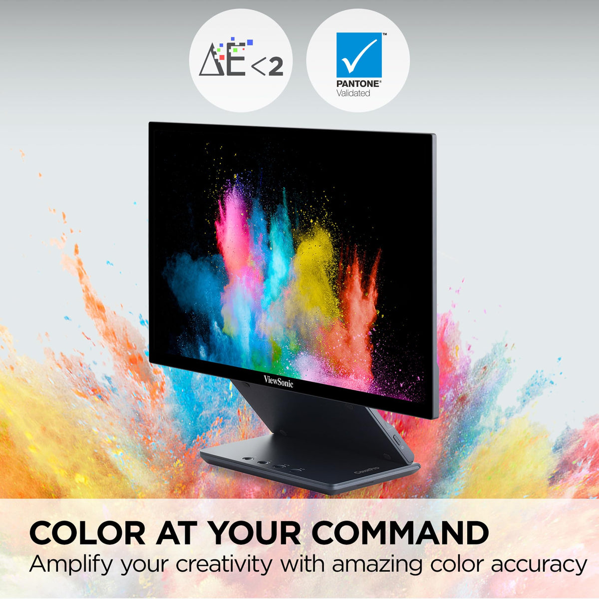 ViewSonic VP1656 Pantone-validated color accuracy for reliable previews.