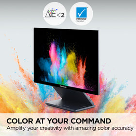 ViewSonic VP1656 Pantone-validated color accuracy for reliable previews.