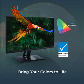ViewSonic VP2756A ergonomic stand enabling comfortable long edit sessions.