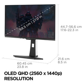 ViewSonic XG272-2K-OLED true 10-bit color for rich visuals.