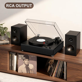 VINYLS LINK retro design complements modern rooms with classic appeal.