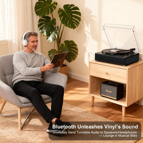 VINYLS LINK three-speed turntable controlled by a simple dial.