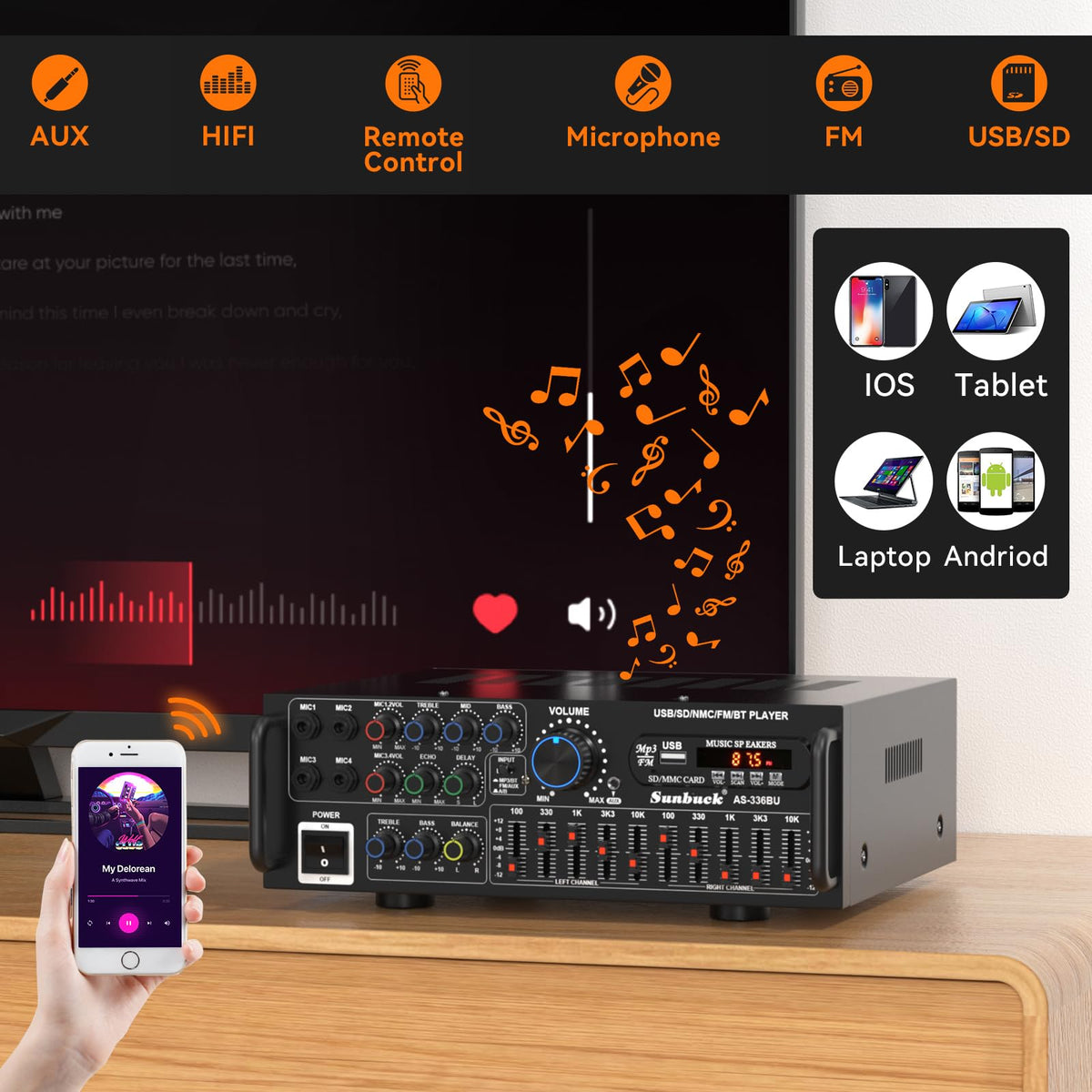 Viprh 2000W amplifier karaoke setup highlighting reverbs and 5-band EQ mixer.