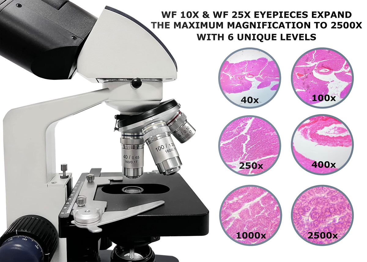 Revolving magnification turret offers 40X to 2500X for diverse specimens