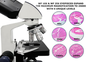 Revolving magnification turret offers 40X to 2500X for diverse specimens