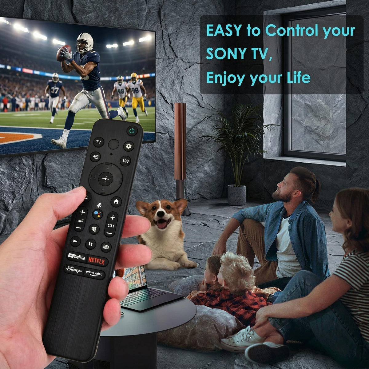 VIVCASE Sony Bravia Android TV remote for easy setup