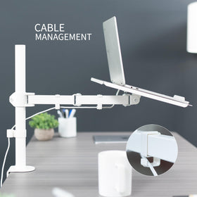 VIVO stand beside ruler showing scale and compatibility benefit