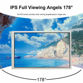 VSDISPLAY 10.1-inch IPS panel with vibrant color and wide angles.