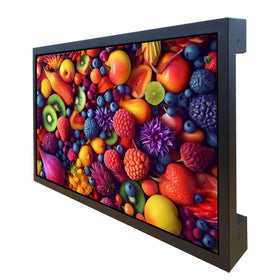 VSDisplay monitor back shows DVI and VGA ports for versatile connectivity.