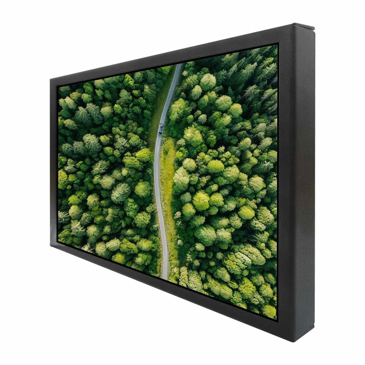 VSDISPLAY IPS panel close-up with wide viewing angles and color accuracy