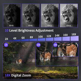 Waaniynan 4K video recording captures day and night moments clearly.