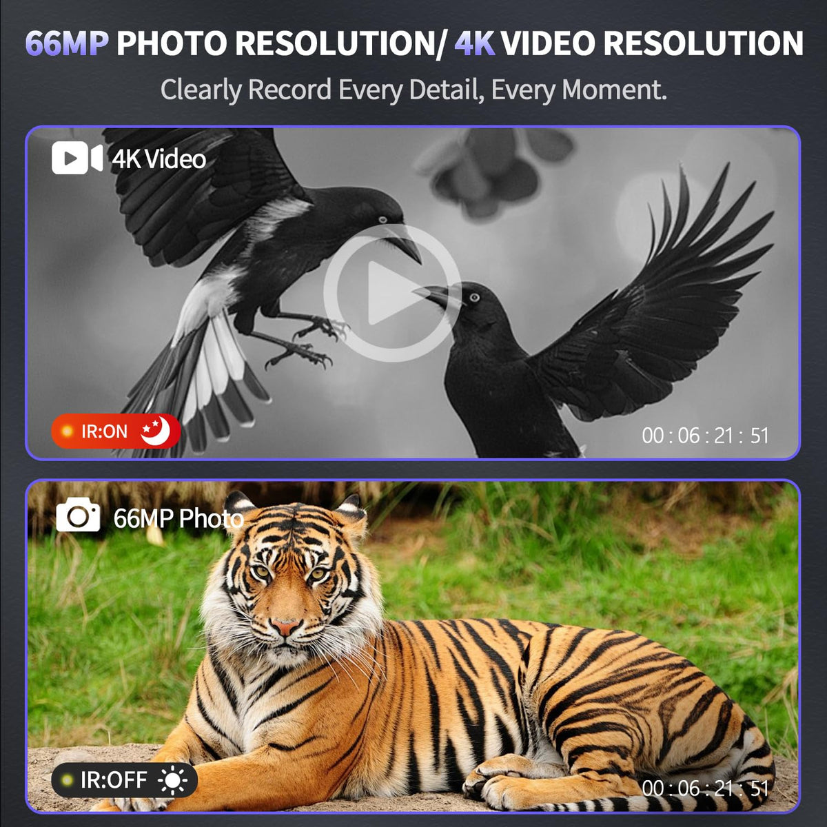 Waaniynan dual IR night vision enhances wildlife spotting at distance.