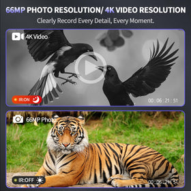 Waaniynan dual IR night vision enhances wildlife spotting at distance.