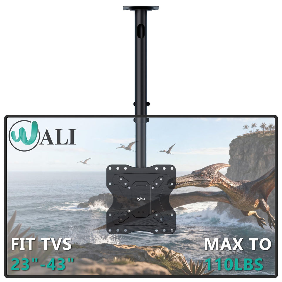 WALI ceiling mount front view showing sturdy steel frame and sleek black finish for secure installation