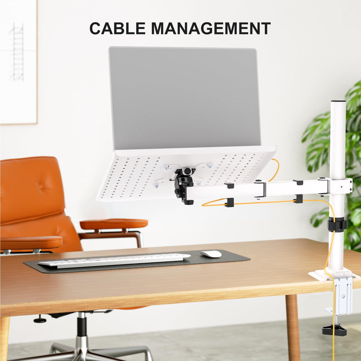 WALI clamp base installed on desk showing secure C-clamp mounting