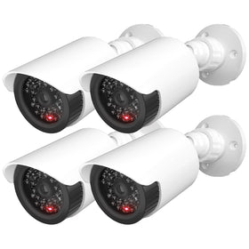 WALI dome front view showing realistic camera look and visible deterrent