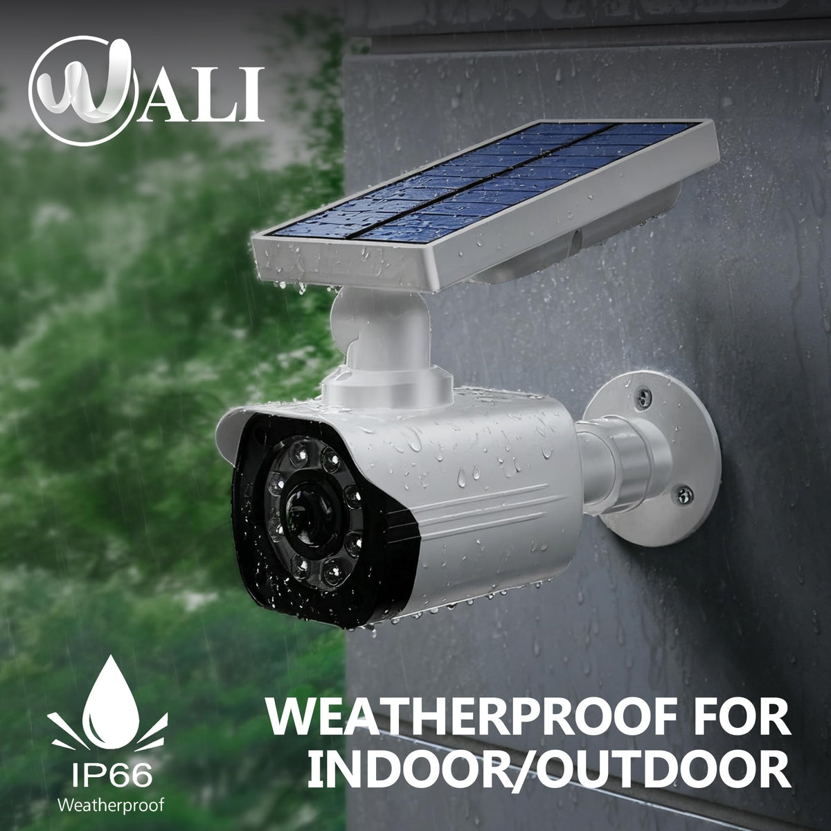 WALI backside mount detail with screws highlighting easy installation benefit