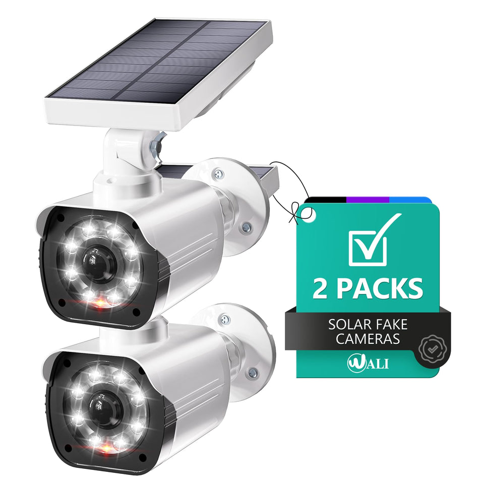 WALI dummy camera front view showing realistic dome appearance and deterrence