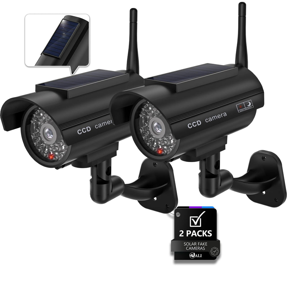 WALI front view of two dummy cameras showing deterrent presence