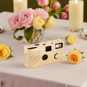 Weddingstar built in flash improves indoor or evening photo clarity