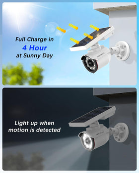 WEILAILIFE IP66 waterproof design ensures reliable performance in rain or snow.