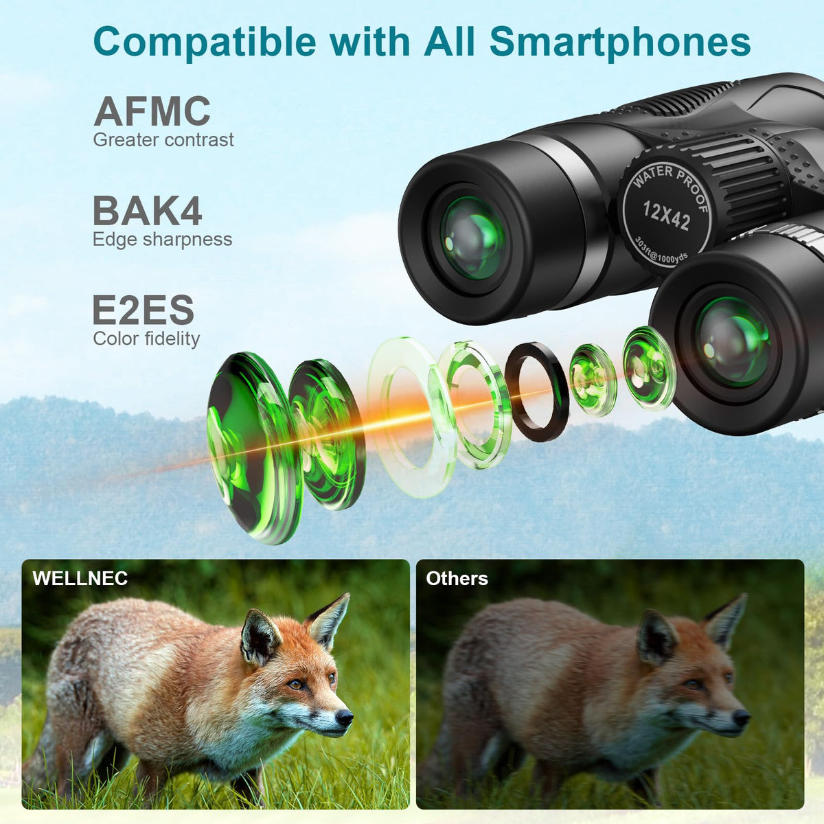 WELLNEC mounted on tripod for stable 12x magnification and steady digiscoping photos