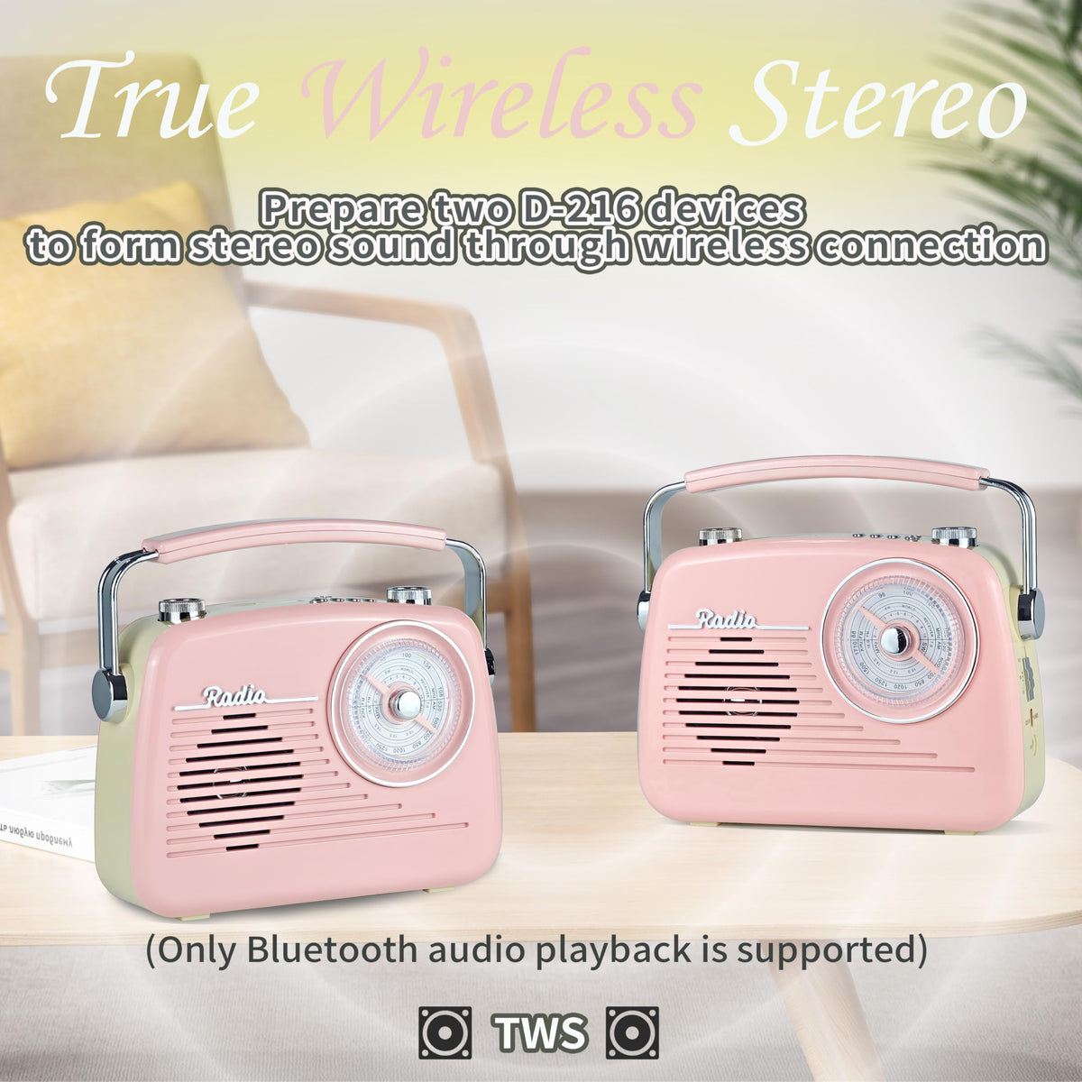 WENPZERAY D-216 Bluetooth speaker mode for wireless music outdoors.